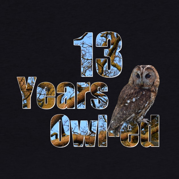 13 years owl-ed (13 years old) teen 13th birthday by ownedandloved